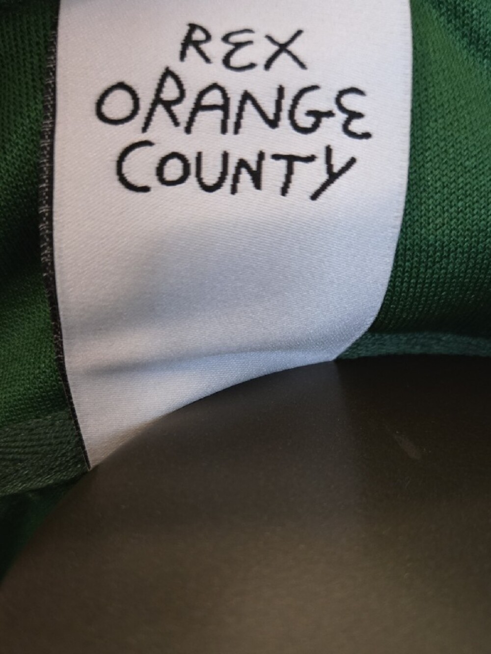 Rex Orange County Green Quarter-Zip Sweatshirt with 'WHO CARES?' Graphic - Picture 2 of 5